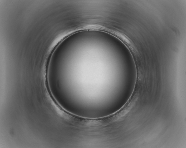 X0000112001430200908031219
