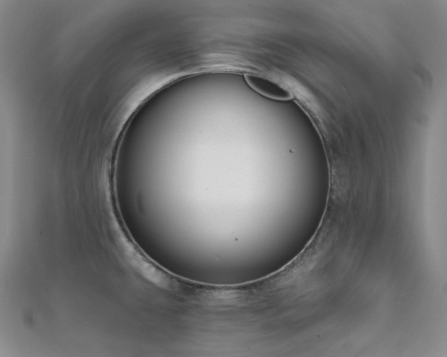 X0000112001431200908031219