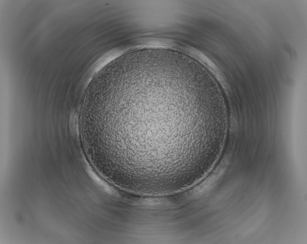 X0000112001433200908031219