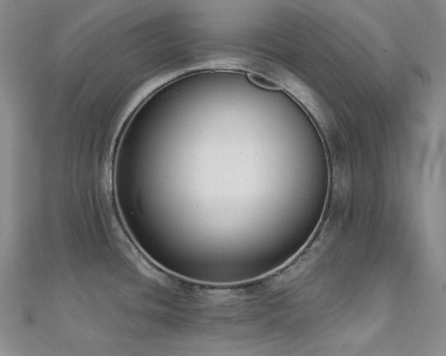 X0000112001436200908031219