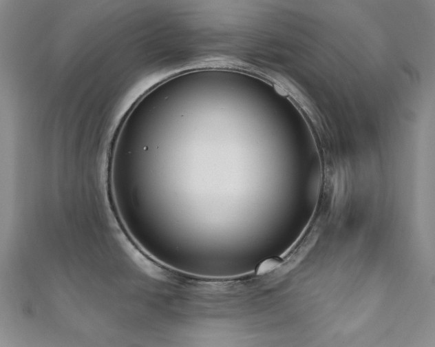 X0000112001438200908031219
