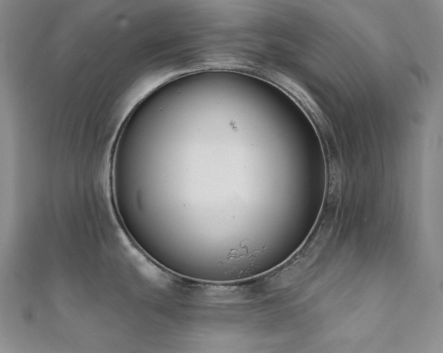 X0000112001439200908031219