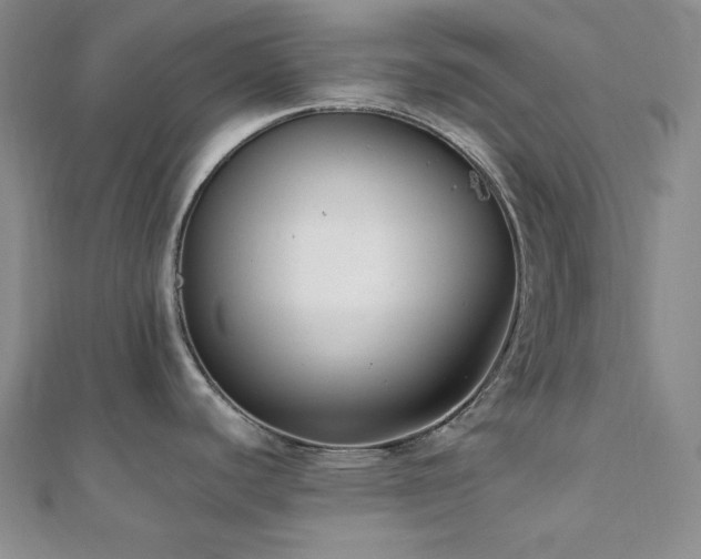 X0000112001440200908031219