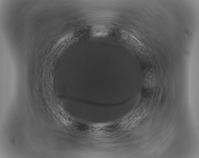 X0000112001441200908031219
