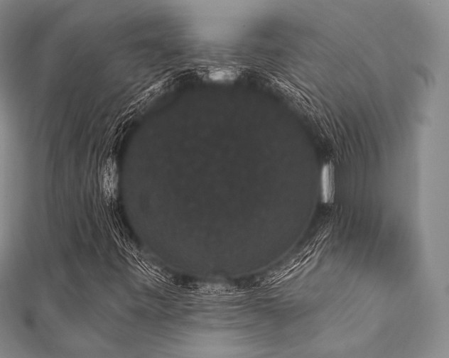 X0000112001443200908031219