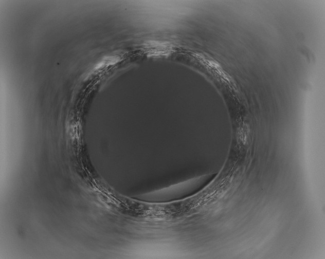 X0000112001445200908031219