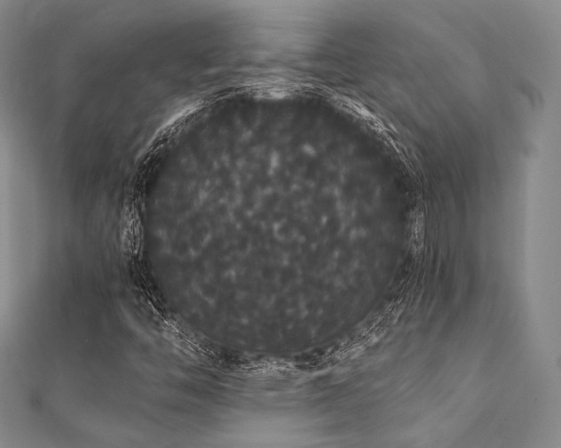 X0000112001446200908031219