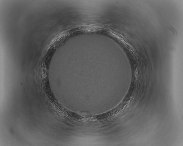 X0000112001447200908031219