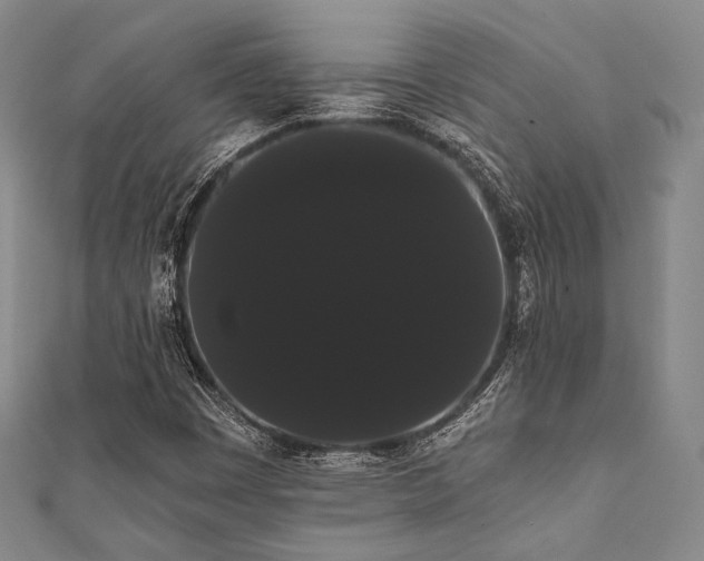 X0000112001449200908031219