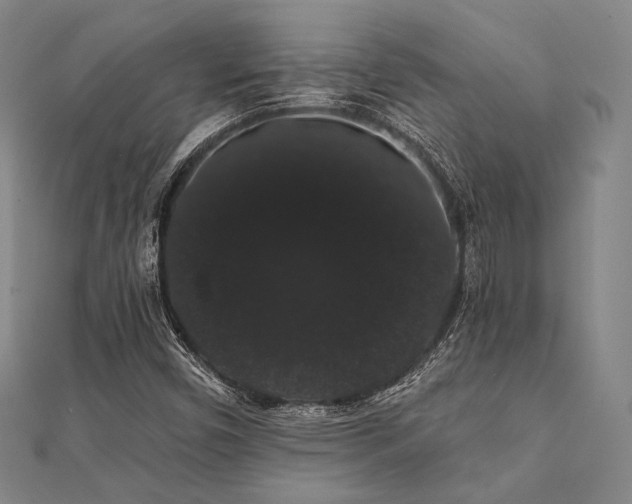 X0000112001450200908031219