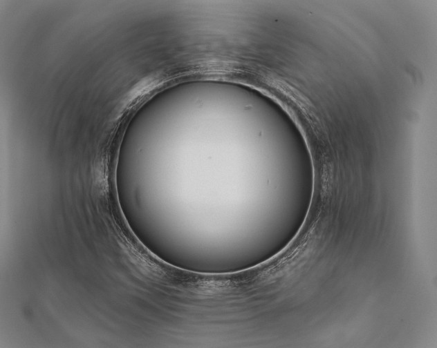 X0000112001451200908031219