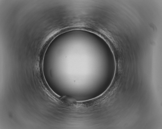 X0000112001452200908031219