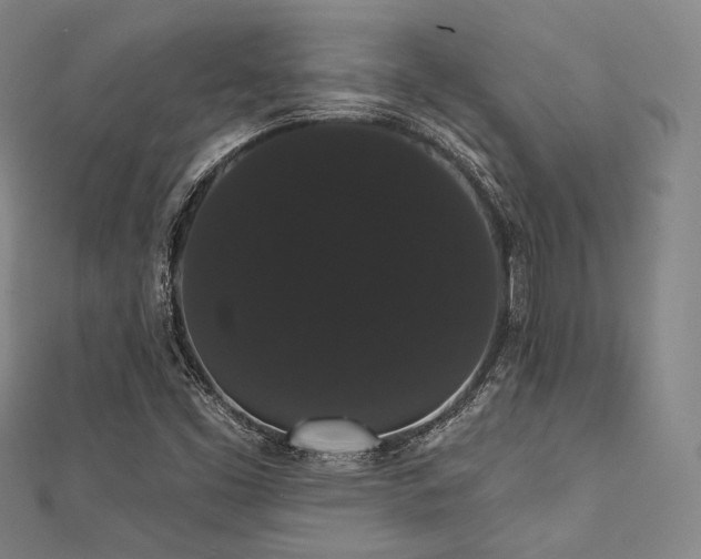 X0000112001453200908031219