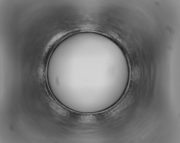 X0000112001454200908031219