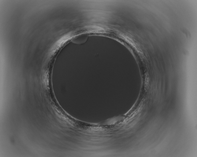 X0000112001455200908031219