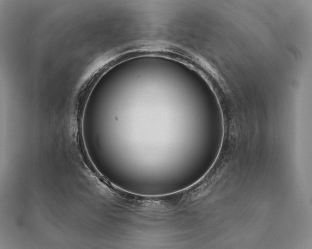X0000112001456200908031219