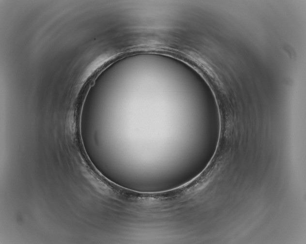 X0000112001458200908031219