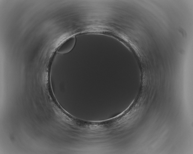 X0000112001459200908031219