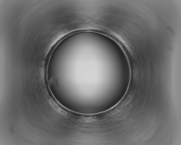 X0000112001460200908031219