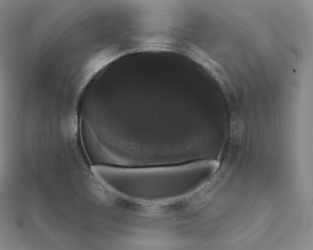 X0000112001461200908031219
