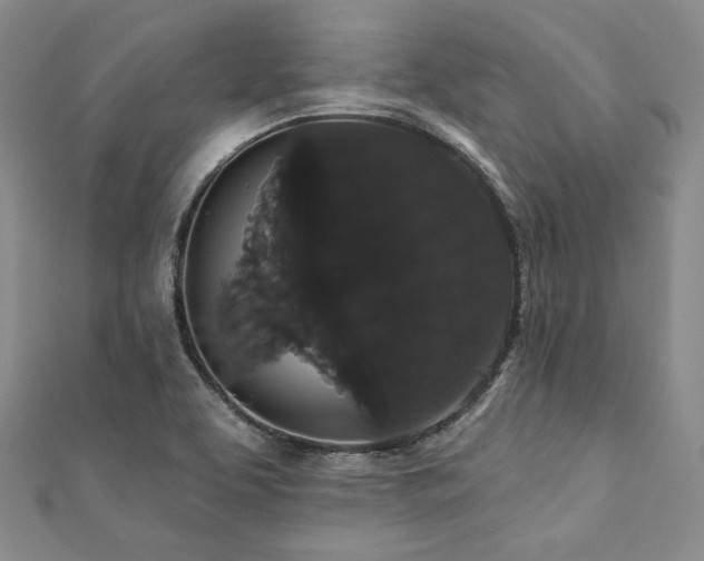 X0000112001463200908031219