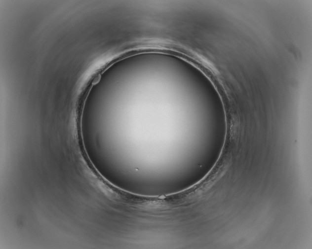 X0000112001464200908031219