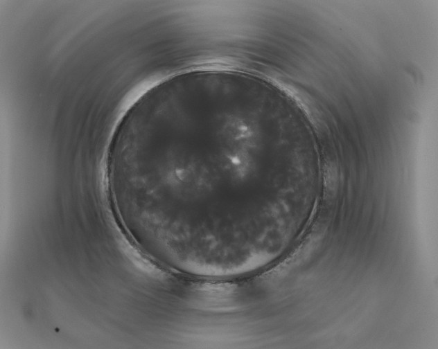 X0000112001466200908031219