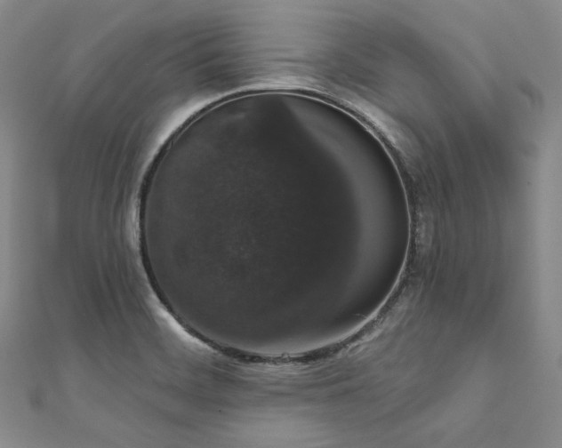 X0000112001468200908031219