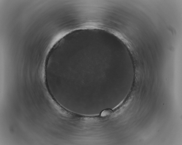X0000112001469200908031218