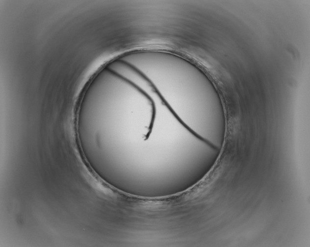 X0000112001470200908031218