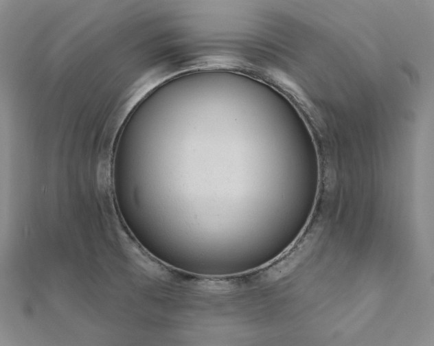 X0000112001473200908031218