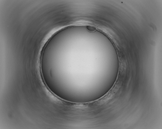 X0000112001478200908031218