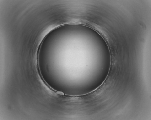 X0000112001479200908031218
