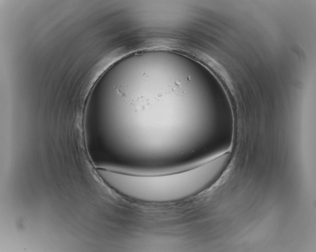 X0000112001481200908031218