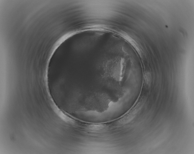 X0000112001482200908031218