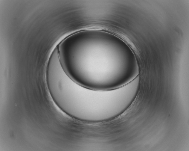 X0000112001484200908031218