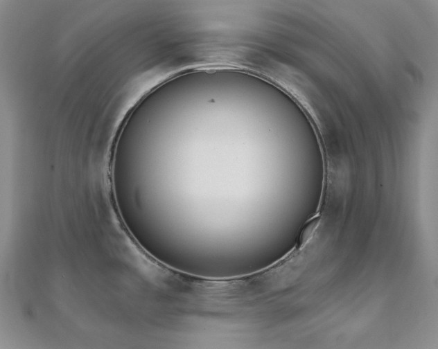 X0000112001485200908031218