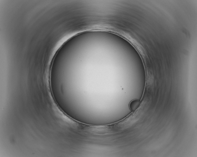X0000112001486200908031218