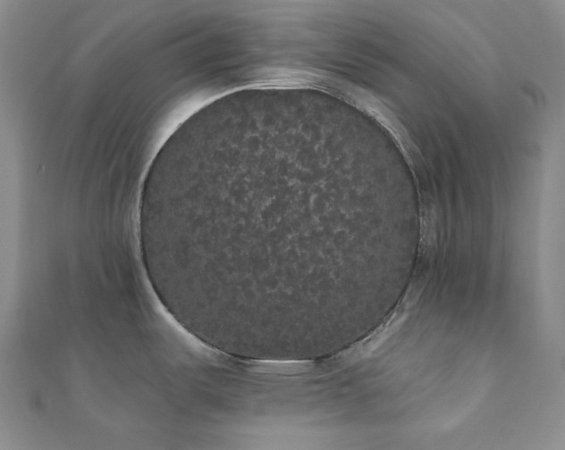 X0000112001487200908031218