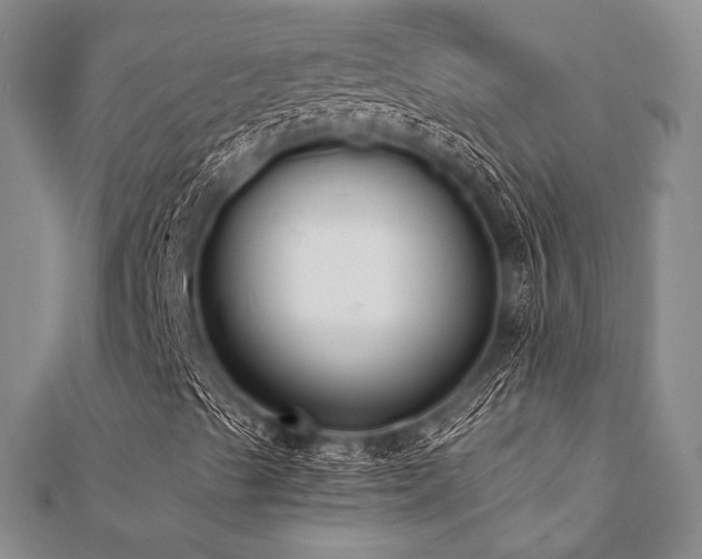 X0000112001489200908031218