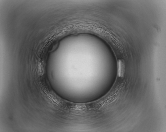 X0000112001491200908031218