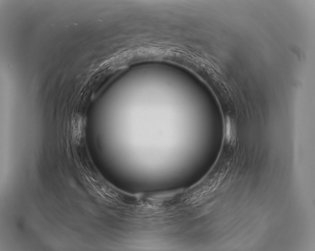 X0000112001492200908031218