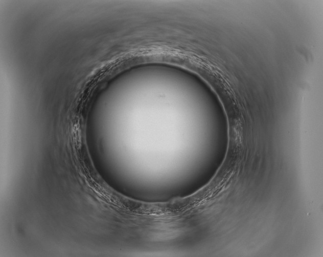 X0000112001493200908031218