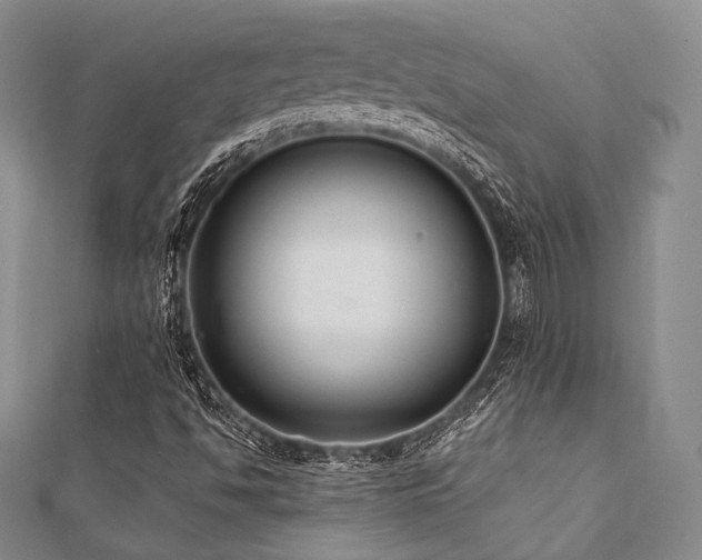 X0000112001494200908031218
