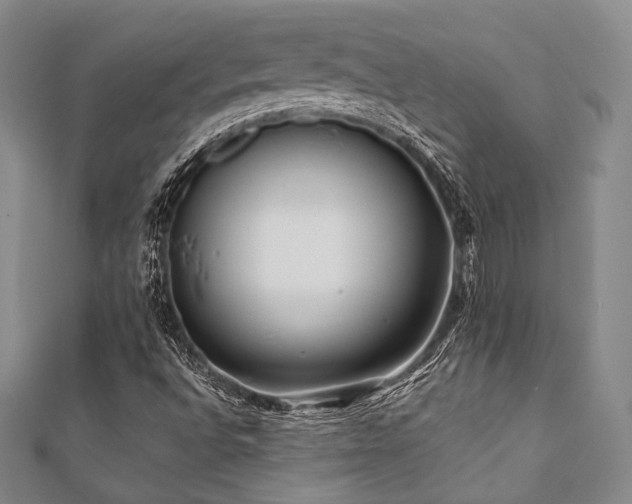 X0000112001496200908031218