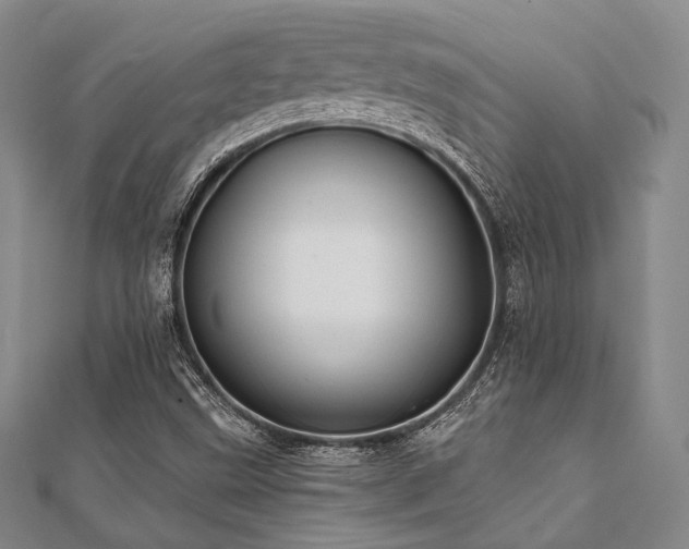 X0000112001499200908031218