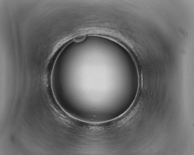 X0000112001501200908031218