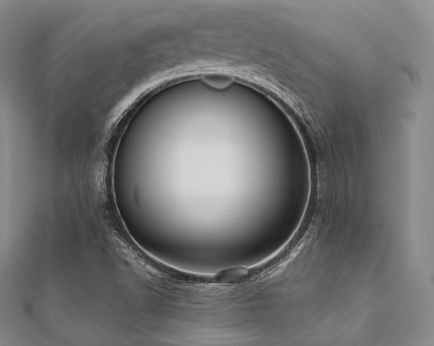 X0000112001502200908031218