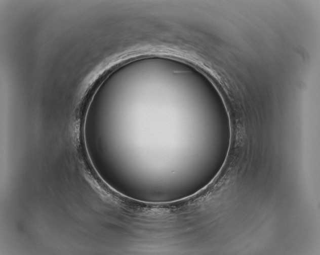 X0000112001503200908031218