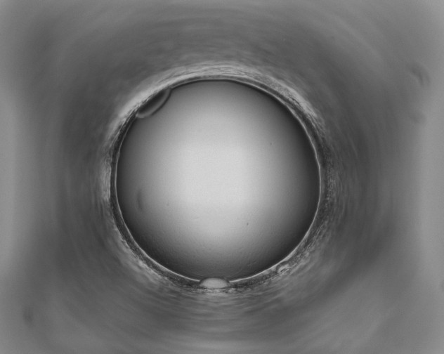 X0000112001504200908031218